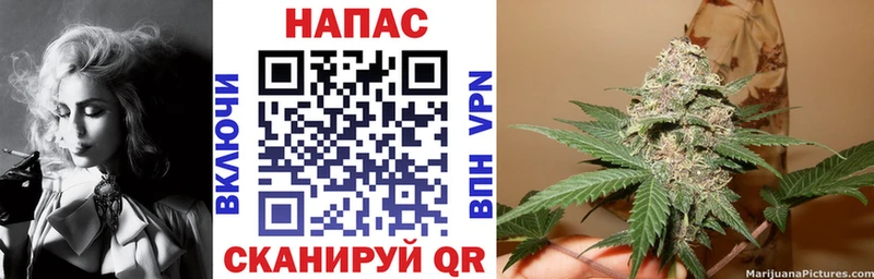 ссылка на мегу как войти  Каспийск  Шишки марихуана гибрид 